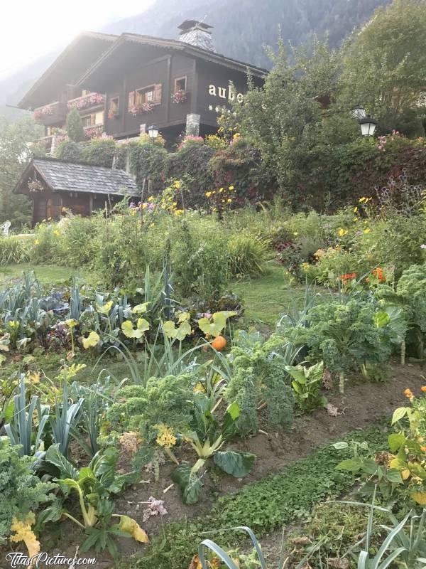 Photo Chamonix-Mont-Blanc : Belle Auberge avec pleins de beaux légumes bio dans le jardin 🥰c, Chamonix-Mont-Blanc, Auberge, Potager