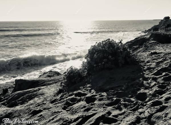 Photo La Plage du Veillon : La Plage du Veillon à Talmont-Saint-Hilaire (85)c, 