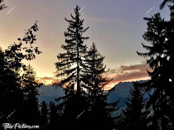 Photo Les Coches : Petite randonnée 🥾 bien physique à quelques pas de mon logement. Il était temps de rentrer car je ne voyais plus grand chose 😅c, Coucher de soleil, Les Alpes, Sapins