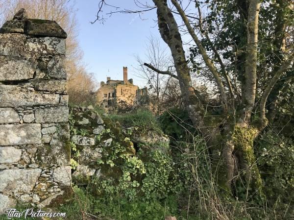 Photo Vieux Château à Palluau : Ruines d’un vieux Château à Palluau.c, Ruines Château, Palluau