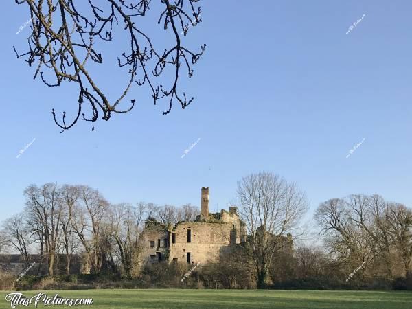 Photo Vieux Château à Palluau : Ruines d’un vieux Château à Palluau.c, Ruines Château, Palluau