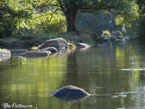 Photo La Sèvre Nantaise : La Sèvre Nantaise au parc de la Barbinière à St Laurent-sur-Sèvre.c, La Sèvre Nantaise, Parc de la Barbinière