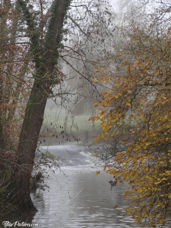 Photo La Rocheservière : Paysage d’Automne à la Rocheservière.c, La Rocheservière, Automne, Rivière