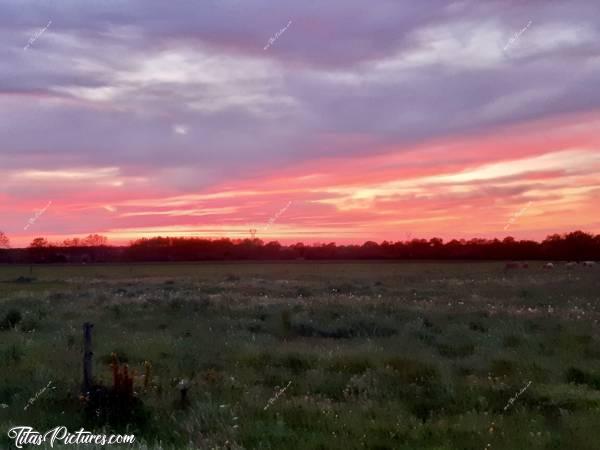 Photo La Campagne de Montbert : Coucher de soleil sur la campagne de Montbert dans le 44. Trop beau 😍c, Montbert, coucher de soleil, campagne