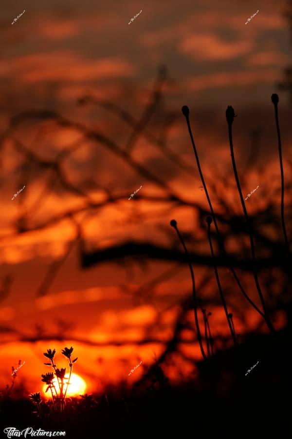 Photo Coucher de soleil : Coucher de soleil sur la Campagne du Boupère.c, Coucher de soleil, campagne