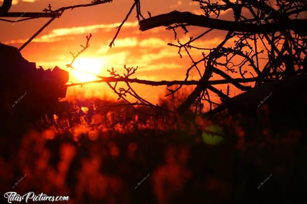 Photo Coucher de soleil : Coucher de soleil sur la campagne vendéenne.c, Coucher de soleil