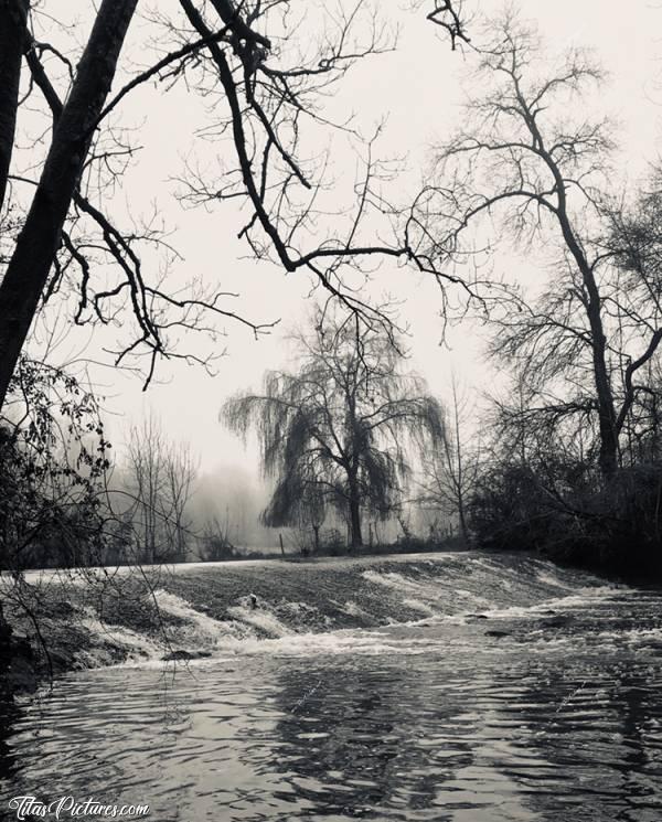 Photo La Rocheservière : Balade d’hiver à la Rocheservière. C’était très brumeux ce jour-là d’où cet atmosphère de film dramatique 😅c, Rocheservière, Rivière, chute d’eau