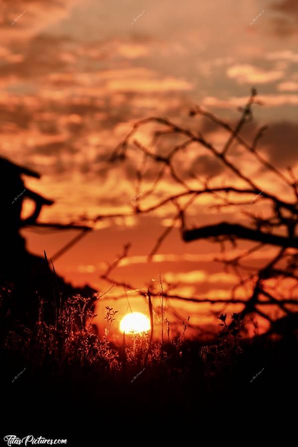 Photo Coucher de soleil : Coucher de soleil sur un tas de bois et des mauvaises herbes. J’adore 😍
Qu’en pensez-vous ?c, Coucher de soleil