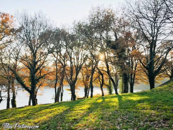 Photo Le Barrage d’Apremont : Le Barrage d’Apremont début décembre..c, Barrage d’Apremont