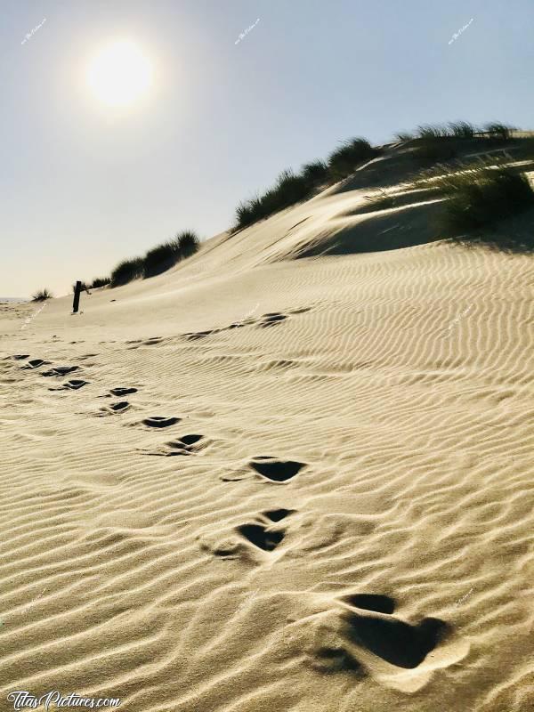 Photo La Dune du Veillon : La plage du Veillon à Talmont-Saint-Hilaire. La grande Dune de cette plage disparaît à vue d’œil malgré les nombreuses tentatives de protection 😰😢c, Plage du Veillon, Dune