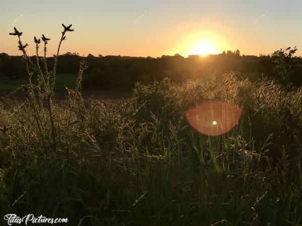 Photo Campagne du Boupère : Coucher de soleil sur la campagne du Boupère et ses fleurs sauvages..c, Coucher de soleil, campagne, herbes sauvages