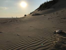 Dune balayée par le Vent : 