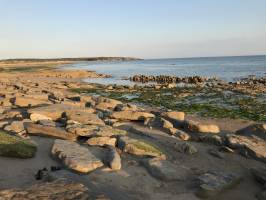 Le Veillon : Tita’s Pictures, Plage du Veillon, Talmont-Saint-Hilaire, Rochers