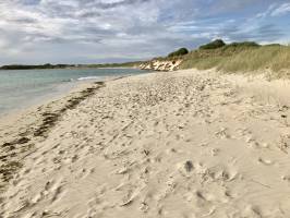 La Rivière de Plougoulm : 