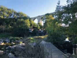 St-Laurent-sur-Sèvre : Pont, Nature, Arbres