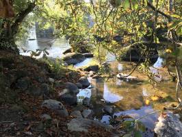 St-Laurent-sur-Sèvre : Rivière, Rochers, arbres