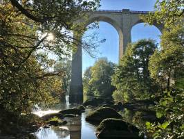 St-Laurent-sur-Sèvre : Rivière, Rochers, arbres, Pont