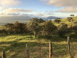 Le Sud Est de la Réunion : La Réunion, Montagnes, Arbres, Prairies, Barbelés