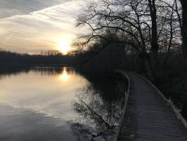 La Bretèche : La Bretèche, les Epesses, Coucher de soleil, Lac, Arbres, passerelle