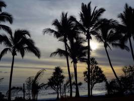 Coucher de soleil : La Réunion, Coucher de soleil, Palmiers