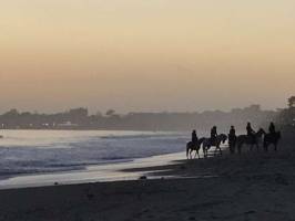 Chevaux en ombres chinoises : Mer, Chevaux, Coucher de soleil