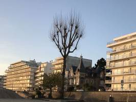 Une autre rescapée : La Baule, Immeuble, Vieille maison, Patrimoine historique