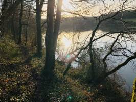 Retenue de Rochereau : Retenue de Rochereau, Arbres, Lac, Coucher de soleil