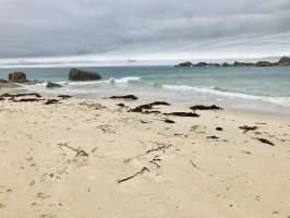 Plage des Amiets : Cléder, Plage, Mer, sable, rochers, Goëmon