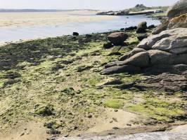 La Baie du Kernic : Mer, Sable, Bateaux, Rochers, Dunes