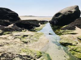 La Baie du Kernic : Mer, Sable, Rochers, Dunes