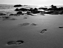 La Baie du Kernic : Mer, Sable, Rochers