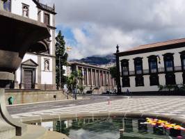 Funchal : Madère, Funchal, Hôtel de Ville