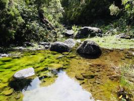 Madère : Madère, Rivière, Randonnée