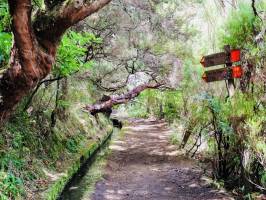 Levada : Madère, Levada, Randonnée