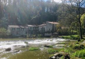 La Sèvre Nantaise : Sèvre Nantaise, Rochers, Vieilles Pierres