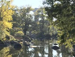 La Sèvre Nantaise : Sèvre Nantaise, Rochers, Viaduc, Arbres