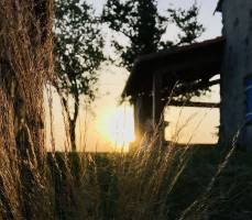 Sunset sur Cheveux d’Anges : Coucher de soleil, Graminées