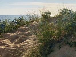 St-Gilles-Croix-de-Vie : Mer, Sable, Dune