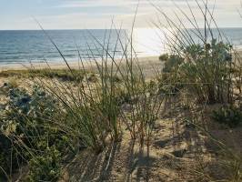 St-Gilles-Croix-de-Vie : Mer, Sable, Dune