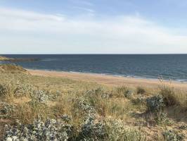 St-Gilles-Croix-de-Vie : Mer, Sable, Dune