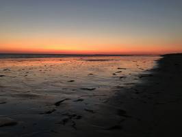 La Barre-de-Monts : Coucher de soleil, Mer, sable, algues