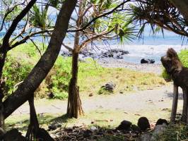 Grande Anse : Grande Anse, La Réunion, Mer, Rochers