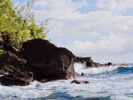 Grande Anse : Grande Anse, La Réunion, Mer, Rochers