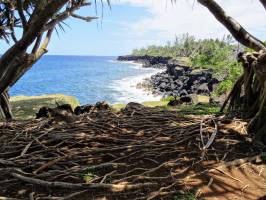 La Réunion : La Réunion, Mer, Rochers de lave