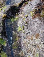 Grande Anse : La Réunion, Grande Anse, Rochers