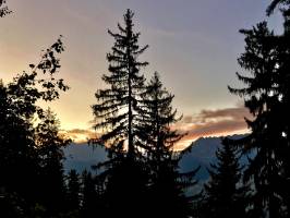 Les Coches : Coucher de soleil, Les Alpes, Sapins