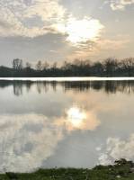 Vasière à Plumail : Vasière à Plumail, St Pilbert-de-Grand-Lieu