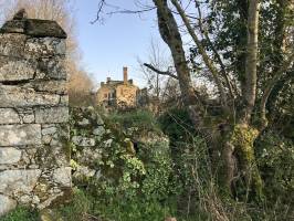 Vieux Château à Palluau : Ruines Château, Palluau