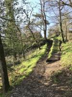 Sentier Botanique : Sentier Botanique, Lac du Jaunay