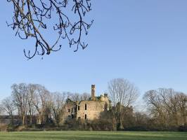 Vieux Château à Palluau : Ruines Château, Palluau